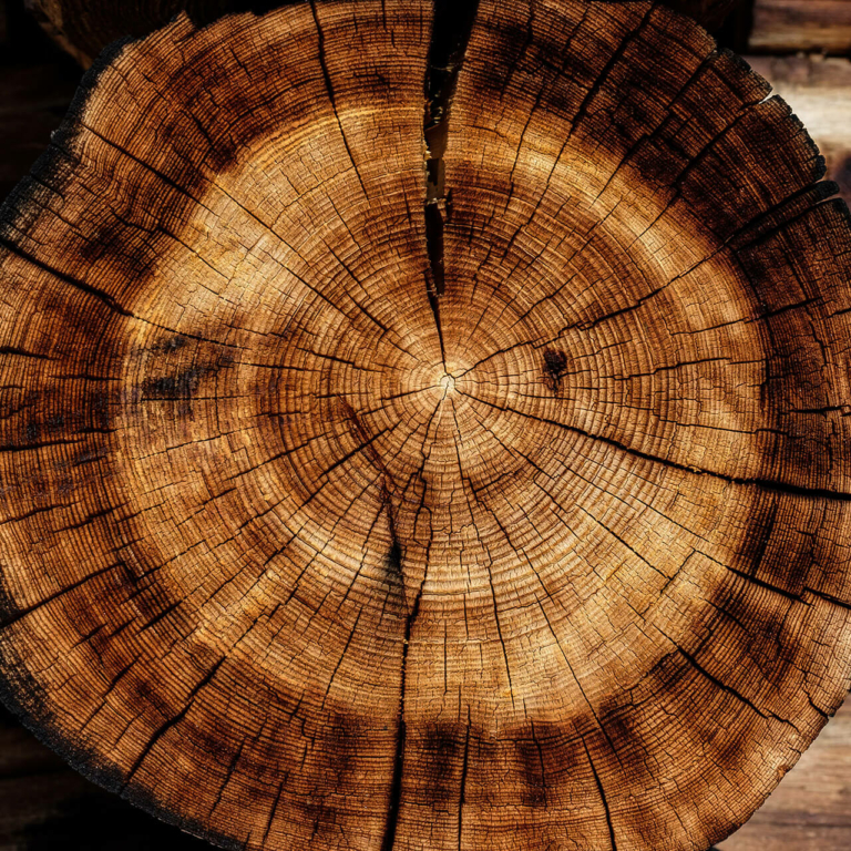 Заставка на телефон бревна. Black round wooden display base. Wood base. Morgan wooden base. Wood base.