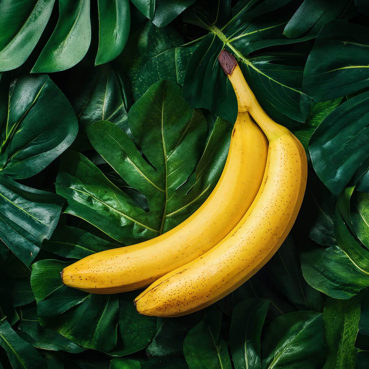 Ripe Banana Accord